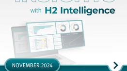 Monthly Insights – November 2024