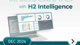 Monthly Insights – December 2024