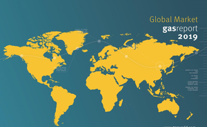 Global Overview 2019