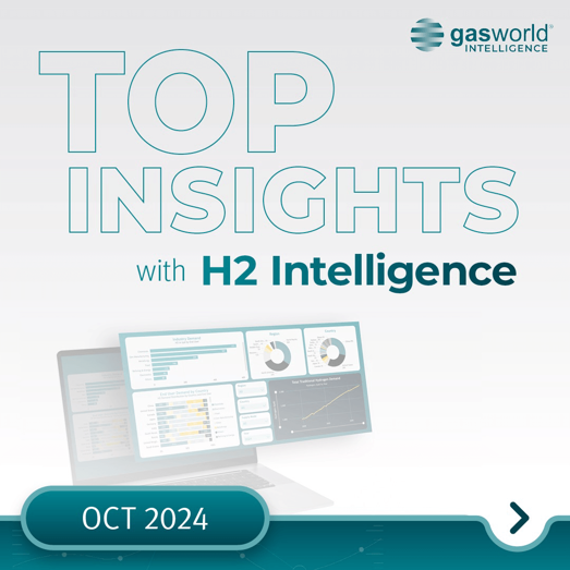 Monthly Insights – October 2024