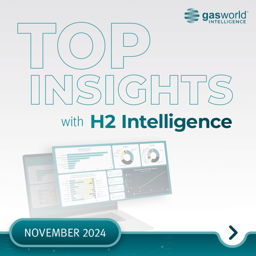 Monthly Insights – November 2024