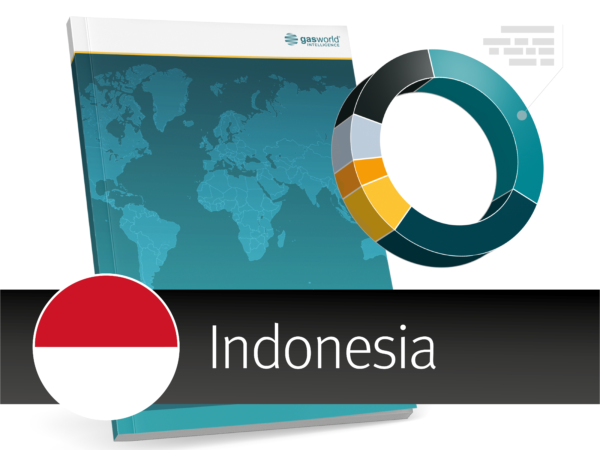 gasreport: South East Asia – Indonesia